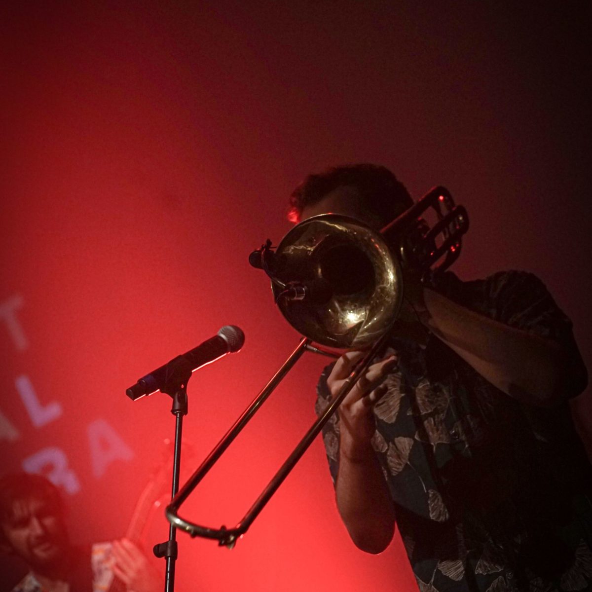 le-tout-puissant-tropical-orchestra-festival-locombia-2022-renaud-perrot-allan-vivant